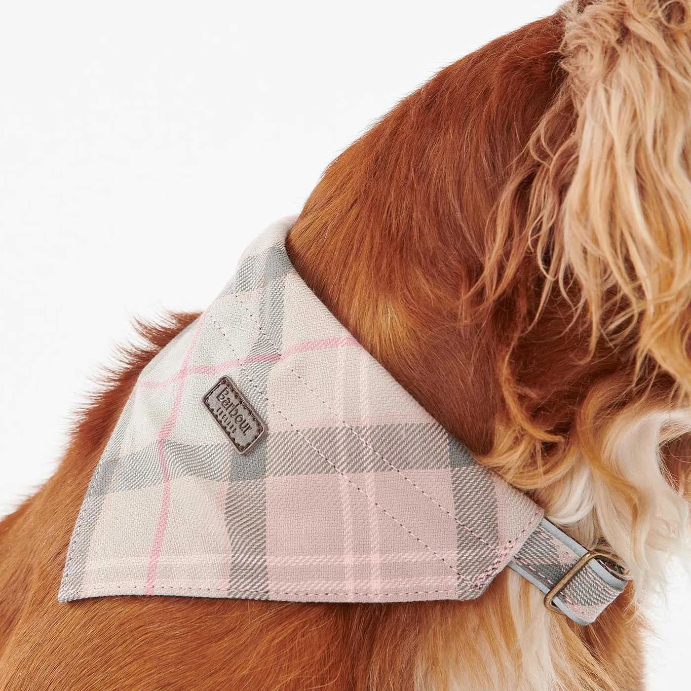 Barbour Tartan Bandana