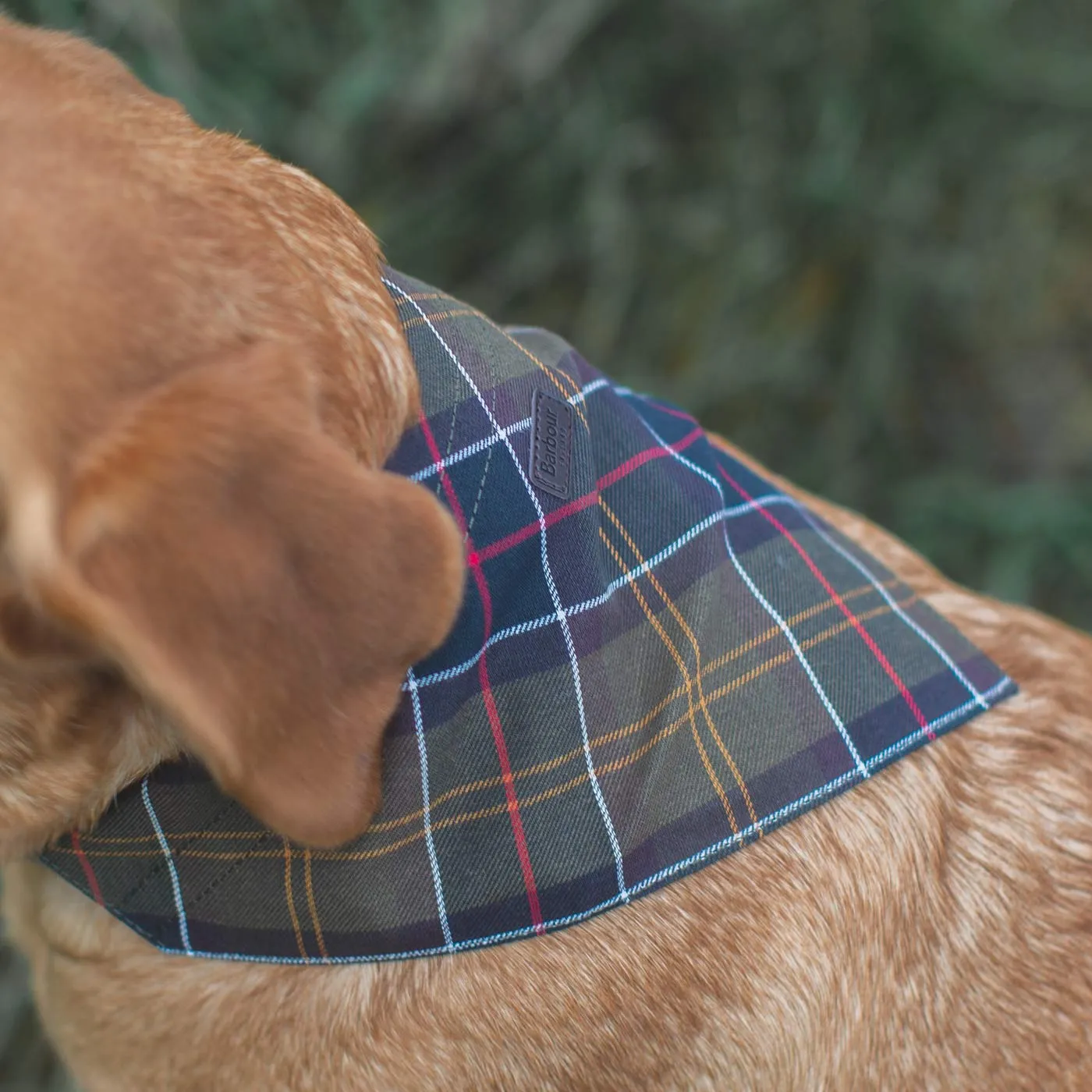 Barbour Tartan Bandana