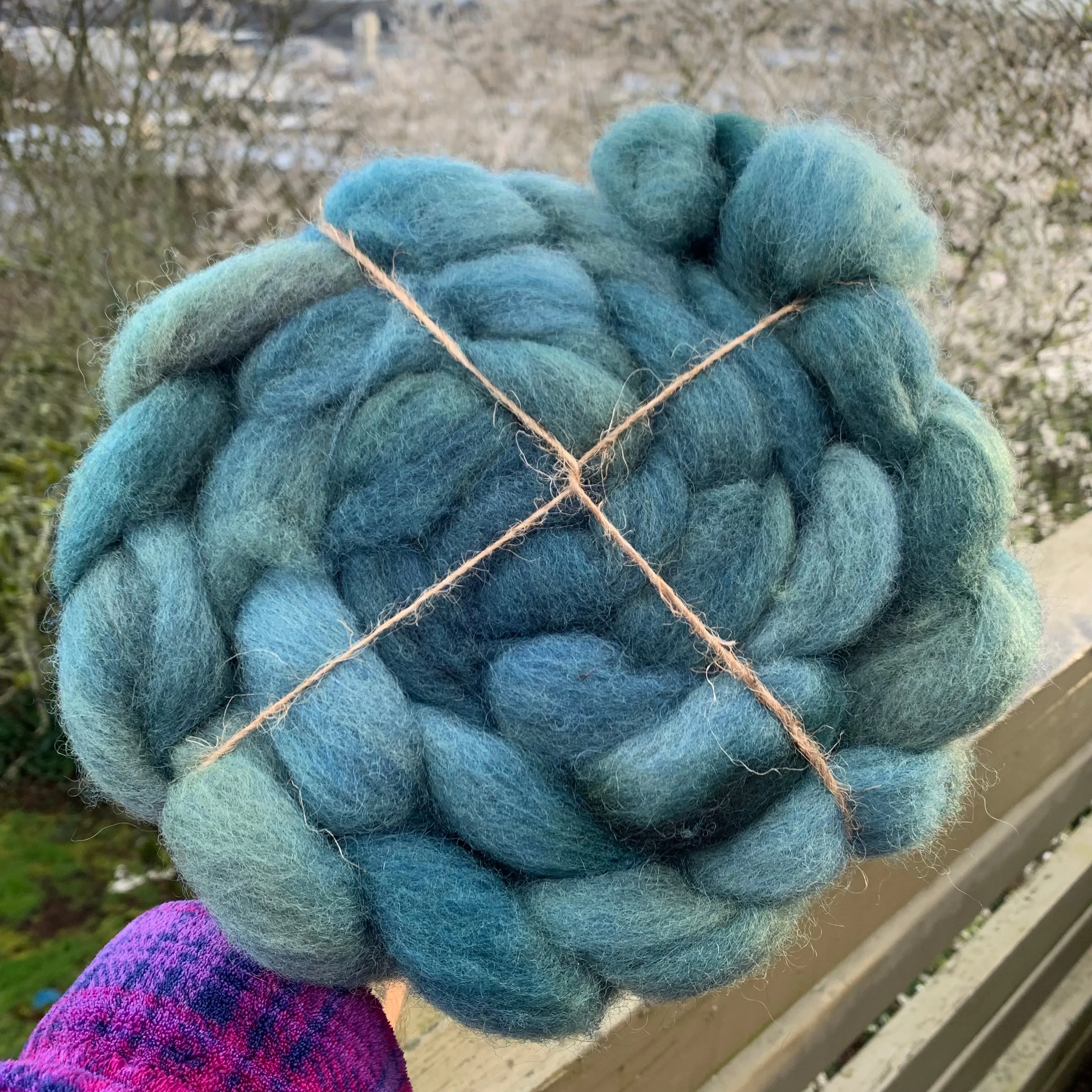 PNWWW Texel Wool Roving 4oz: Covet