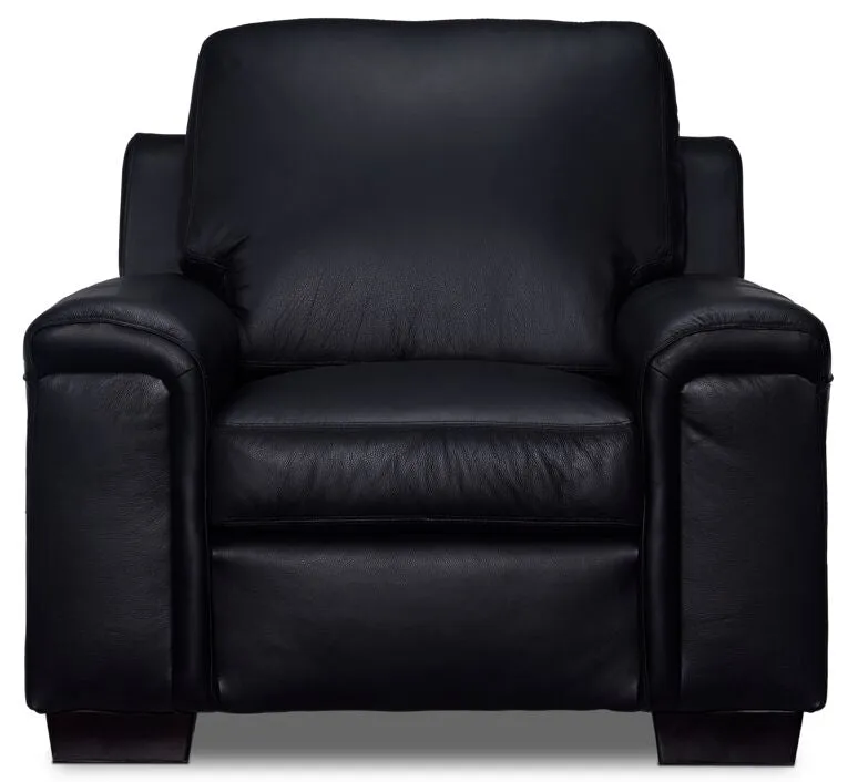 Webster Leather Sofa And Chair Set - Black