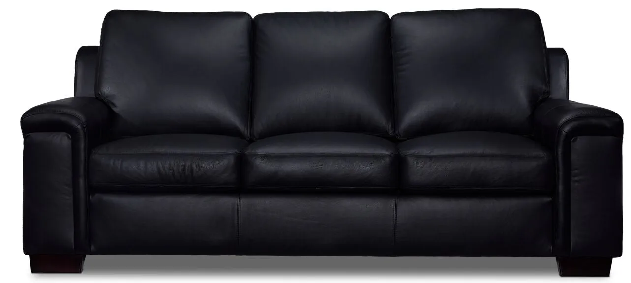 Webster Leather Sofa And Chair Set - Black