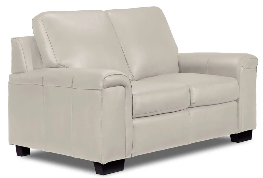 Webster Leather Sofa and Loveseat Set - Silver Grey