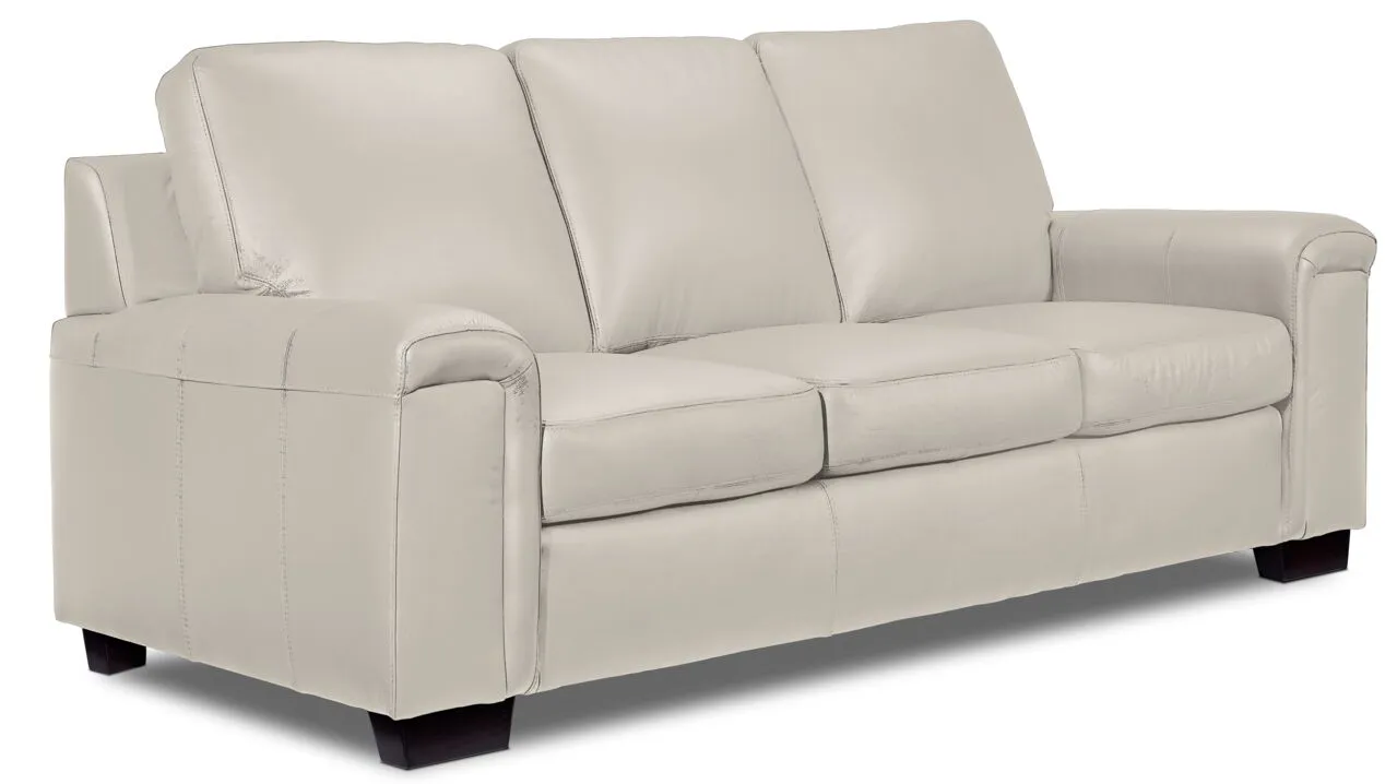 Webster Leather Sofa and Loveseat Set - Silver Grey